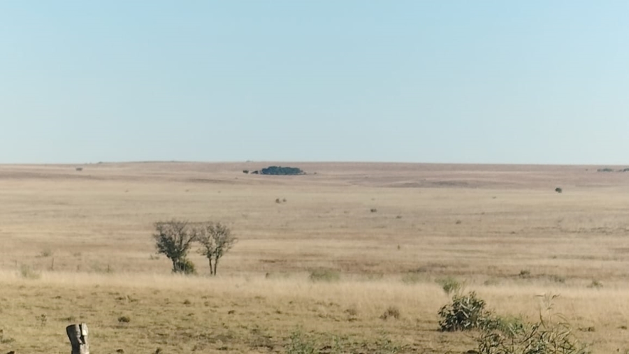 Commercial Property for Sale in Thaba Nchu Free State
